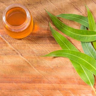 Eucalyptus Globulus Leaf Oil